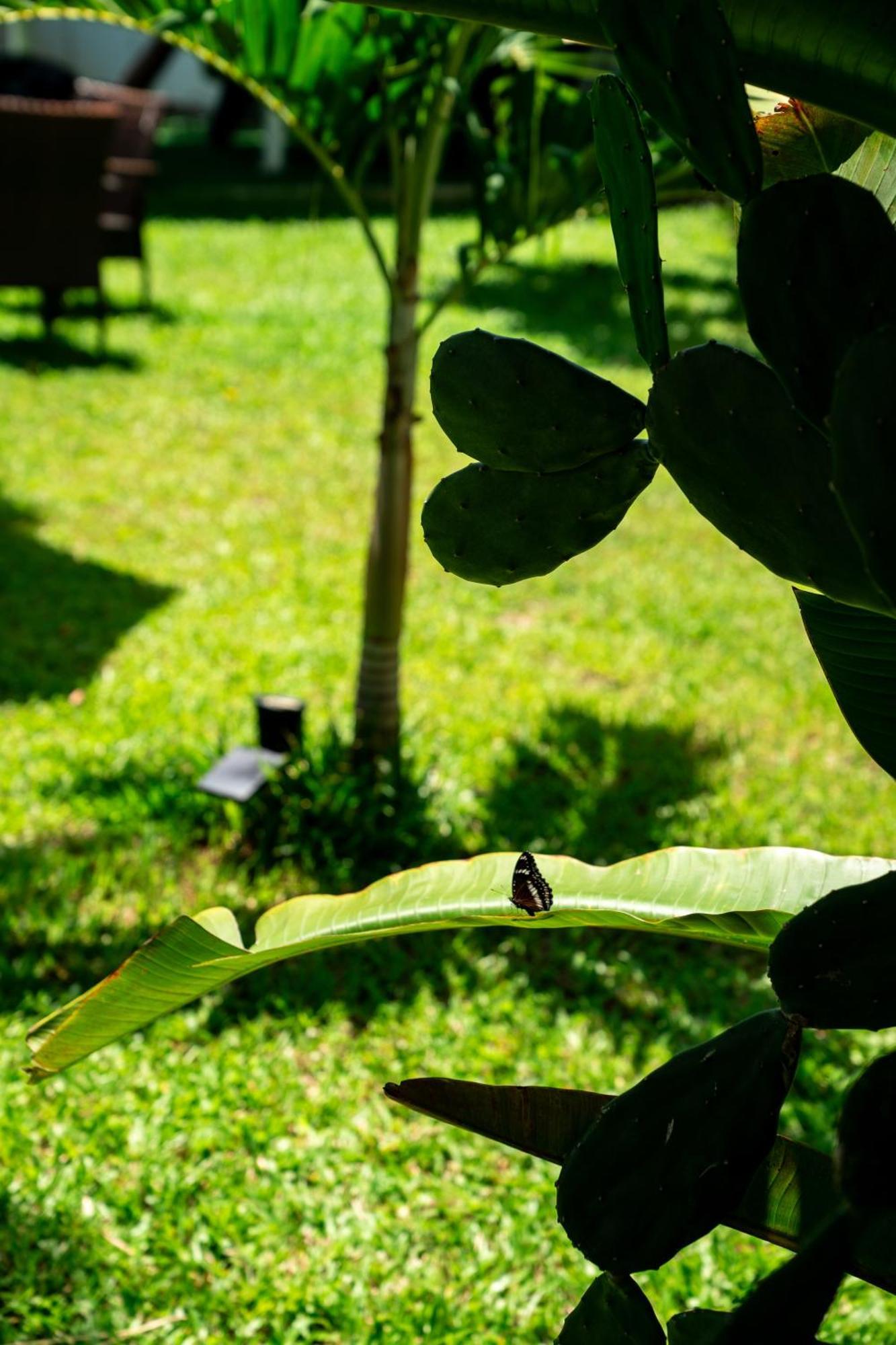 Koh Samui Resort & Restaurant - Villa Giacomelli Taling Ngam Beach Dış mekan fotoğraf